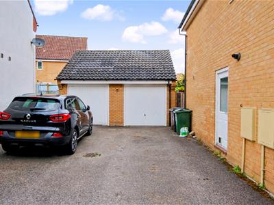 Picture 20